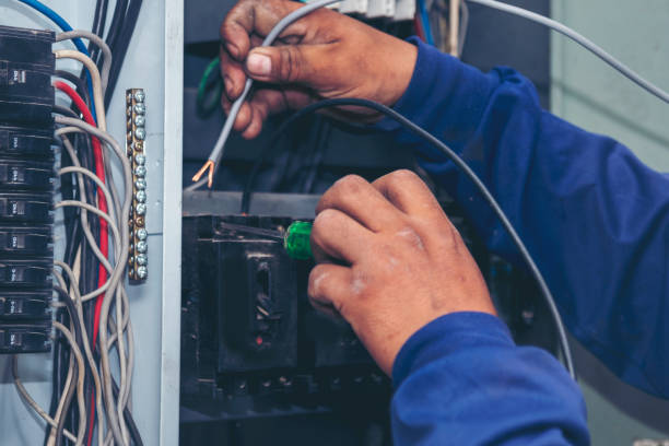 Best Electrician Near Me  in Detroit Beach, MI