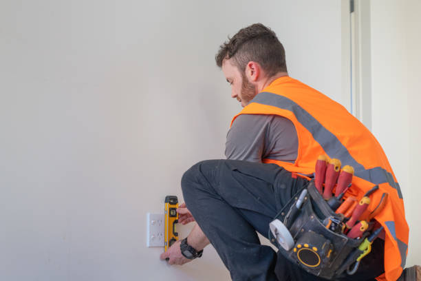 Best 24-Hour Electrician  in Detroit Beach, MI
