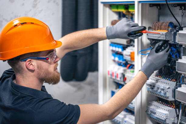 Best Electrical Troubleshooting Services  in Detroit Beach, MI