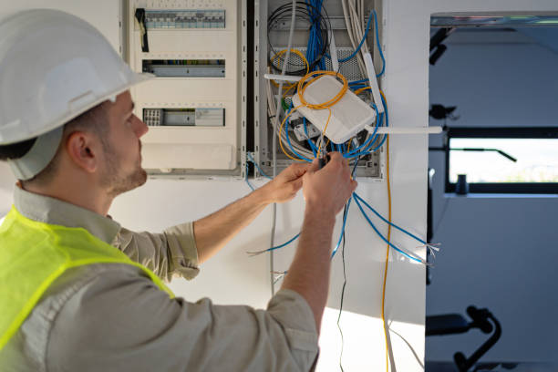 Best Residential Electrician Services  in Detroit Beach, MI