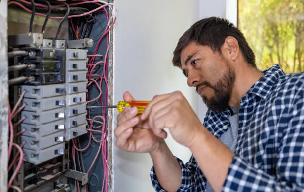 Best Residential Electrician Services  in Detroit Beach, MI